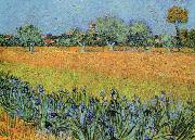Vincent Van Gogh View of Arles With Iris china oil painting artist